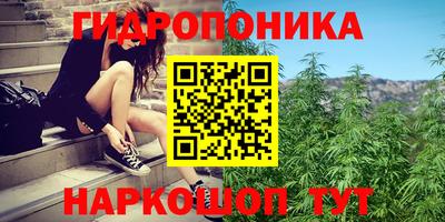 прущая мука Сланцы