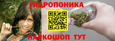 Альфа ПВП Славянск-на-Кубани